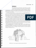 271472533 Anatomie Si Fiziologie Umana Pentru Admitere La Facultatile de Medicina Barron s p2