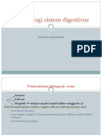 Embriologi Sistem Digestivus