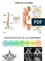 Expo Tomografia de Columna