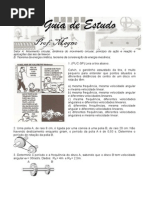 Guia de Estudos II 1st EM - CSFP