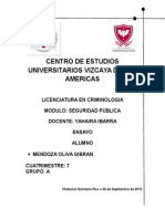 La Seguridad Pública en El Pensamiento Moderno