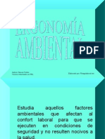 Ergonomiaambiental 110728180752 Phpapp01