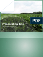 Nature PPT Template