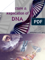 ch 3 5 - dna- structure