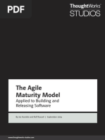 Agile - Agile Maturity Model