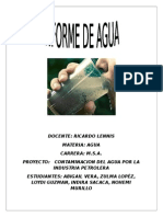 INFORME DE AGUA.docx
