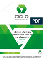 Presentación Proyecto Ciclo - Cintecin Final