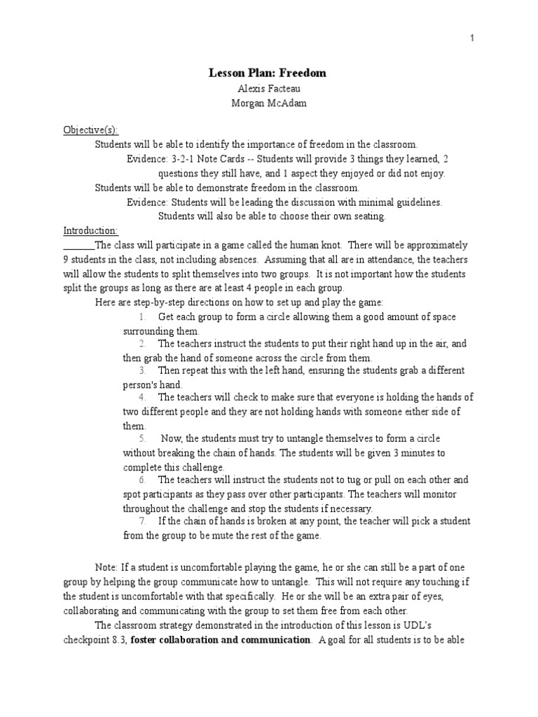 Freedom Lesson Plan and Activities | PDF | Classroom | Representation ...
