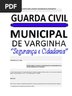 Dispõe Sobre a Criação e Organização de Grupamentos Da Guarda Municipal de Varginha Ronda Bike e Afins.