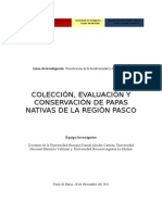 Proyecto Papas Nativas 1 Concurso