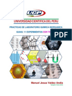 UCP Guias Quimica Inorganica PDF