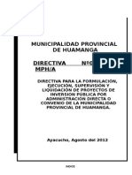 Directiva Final de Proyectos Municipalidad Prov. Hga.