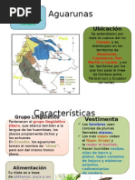 Aguarunas Listo