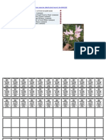 Copy (3) of LABEL Preparat Mitosis Ujung Akar - 29 November 2013