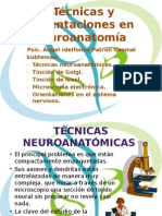 Técnicas y Orientaciones en Neuroanatomía