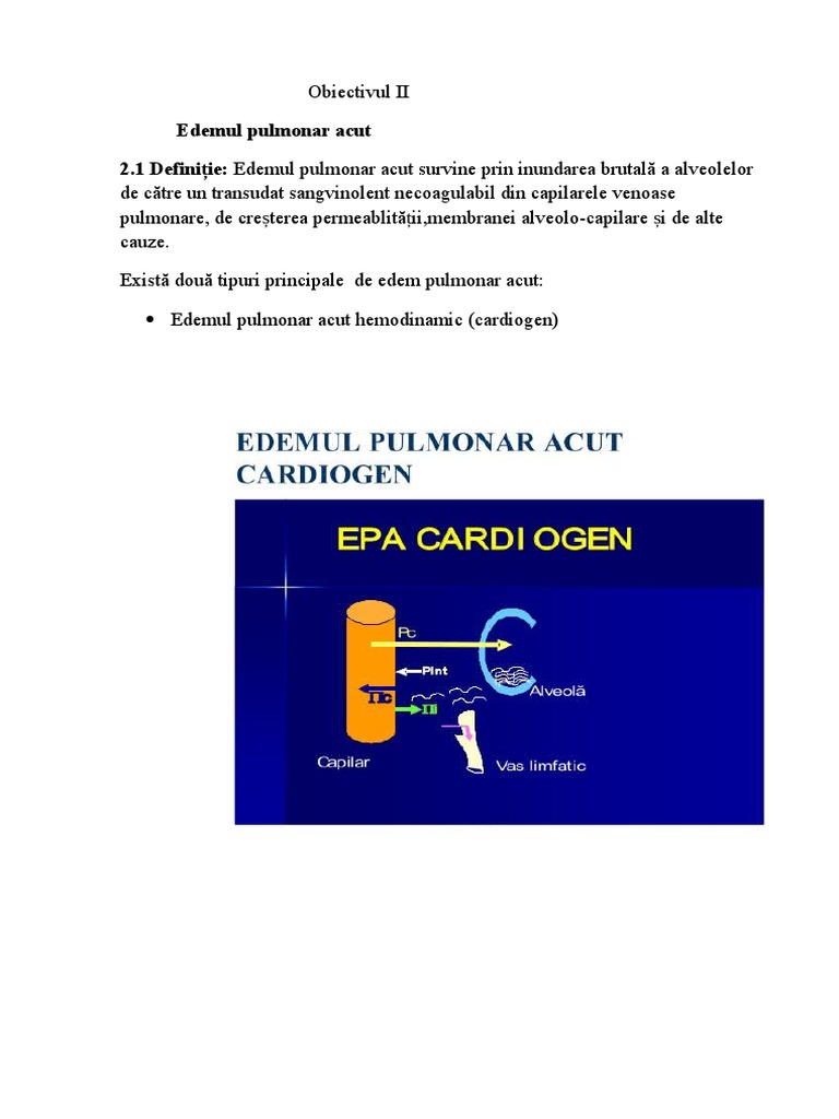 Cap 2 Licenta