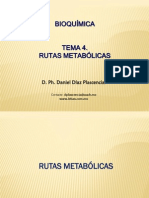 Rutas Metabolicas