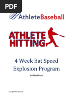 Baseball Bat Speed Program