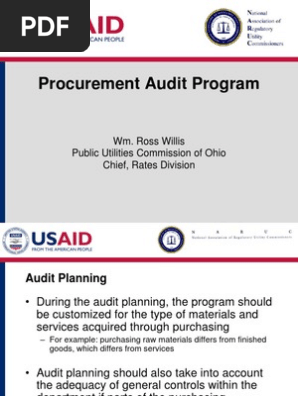Procurement Audit Program