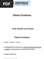 2 Bimestre Aula 2. Classe Crustacea - PDF