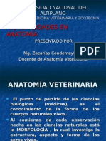Introduccion a La Anatomia veterinaria