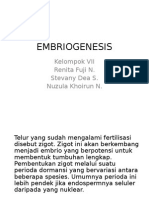 EMBRIOGENESIS