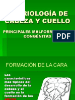 1.- Principales Malformaciones Congénitas