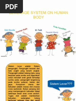 Sistem Lever Pdf