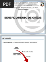 Beneficiamento de Grãos (EAA)