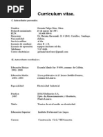 Curriculum Vitae German Felipe Baez Baez