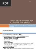 Drepturile Fundamentale