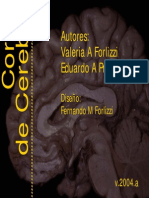 Cortes de Cerebro-Neuroanatomía