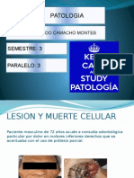 Patologia Bucal