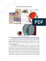 Anatomi Dan Fisiologi Kornea