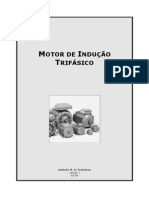 Motor Inducao Tri