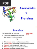 Aminoacidos y Proteinas