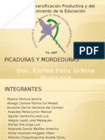 Picaduras y Mordeduras
