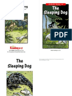 raz lm08 sleepingdog clr