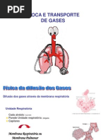 Troca de Gases