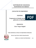 Informe PDF