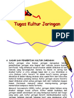 Tugas Biologi ( Kultur Jaringan )