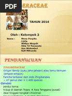 Download Kunyit Presentasi tengtan kunyit  ppt kunyit tentang kunyippt kunyit tentang kunyippt kunyit tentang kunyippt kunyit tentang kunyippt kunyit tentang kunyi by ali akbar thaib razali mahmud marhab hasibuan SN289318056 doc pdf