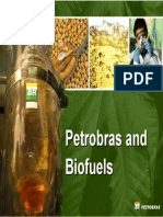 Petrobras Biofuels May2007