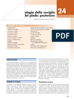 Cap Patologia Della Caviglia Piede Posteriore x35911allp1