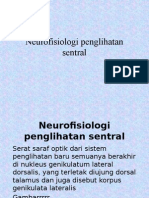 Dr.elitha-Neurofisiologi Penglihatan Sentral