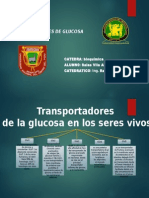 TRANPORTADORES DE GLUCOSA