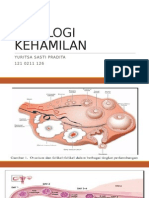 Fisiologi Kehamilan