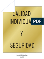 Calidad Individual y Seguridad PDF