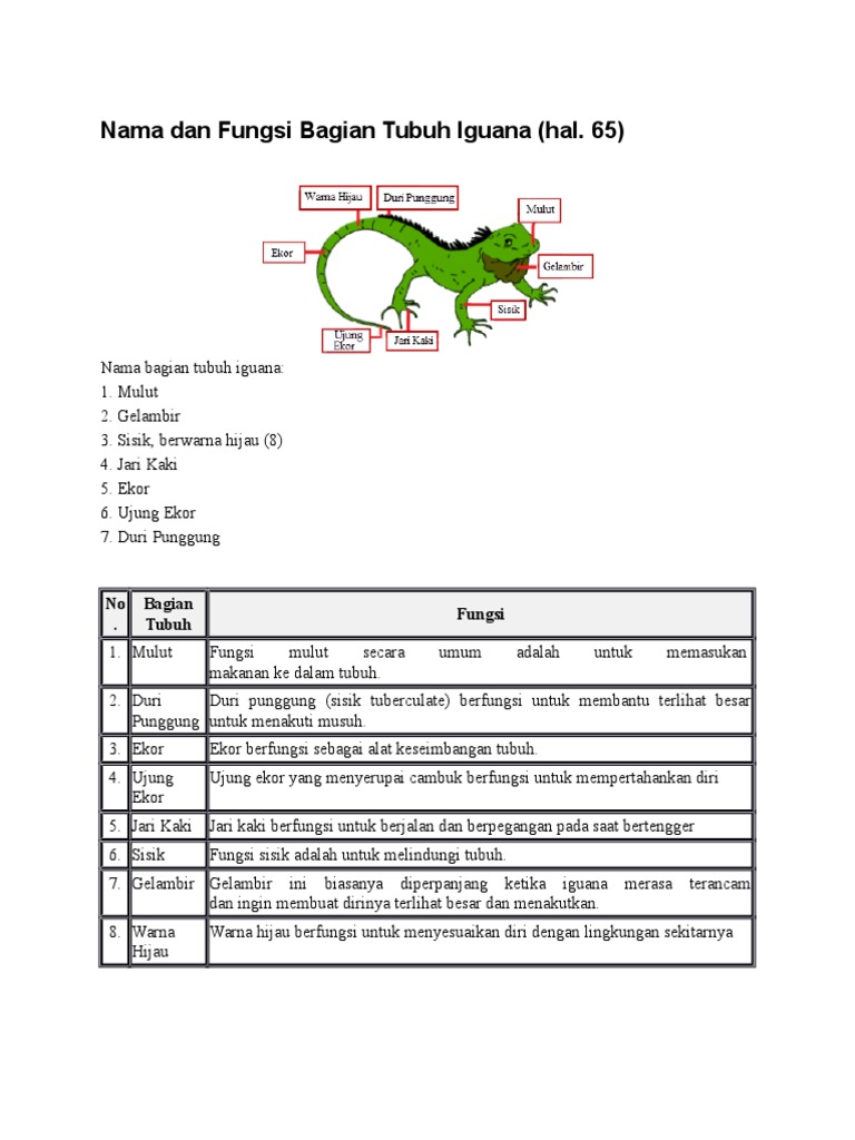 iguana dan fungsinya