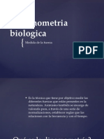 Dinamometria biologica
